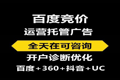 百度推广实战：成功企业的营销策略